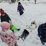 Kliknij, by zobaczyć całe zdjęcie.