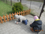 Pkaż album w poszukiwaniu wiosny ...