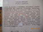 Kliknij, by zobaczyć całe zdjęcie.
